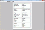 Mailing addres label Print Preview