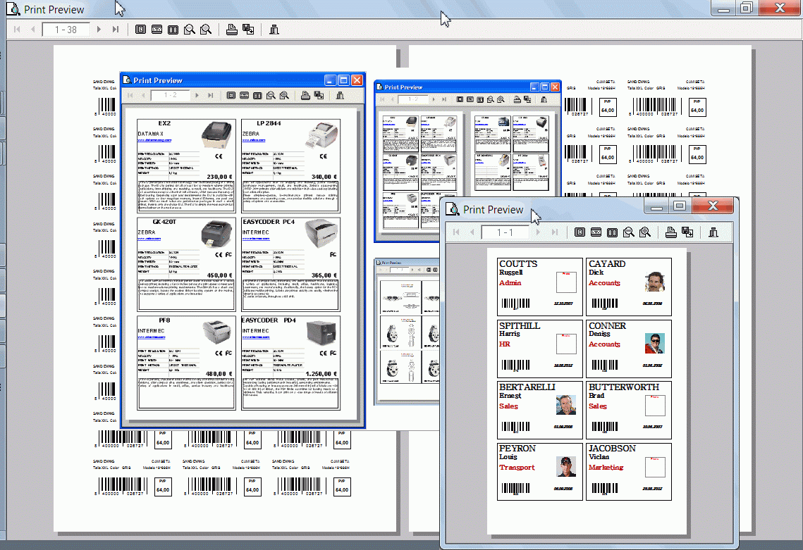 screnshot: setting layouts and printing labels