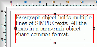 Label's Paragraph Object